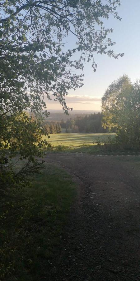 Chill Out Lodge Im Naturparadies Braunlage Exteriör bild