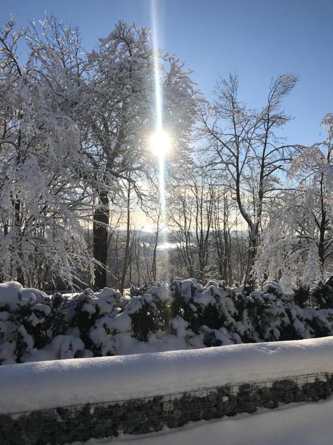 Chill Out Lodge Im Naturparadies Braunlage Exteriör bild