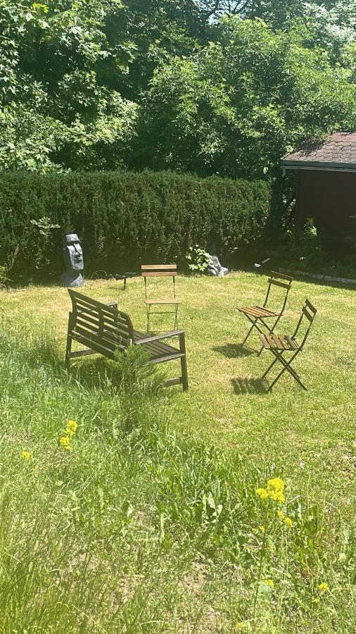 Chill Out Lodge Im Naturparadies Braunlage Exteriör bild